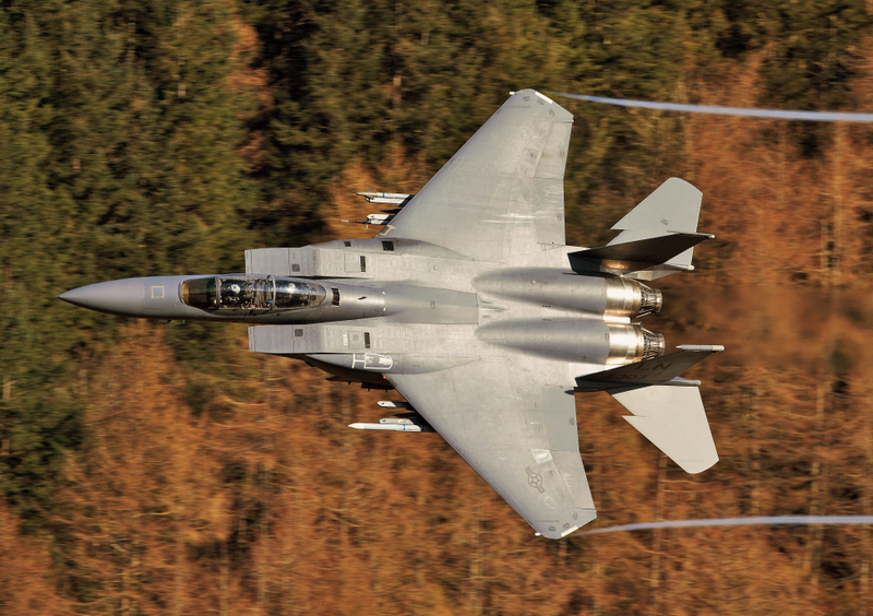 Massive wing but no leading edge control surfaces... very unusual on a modern fighter.